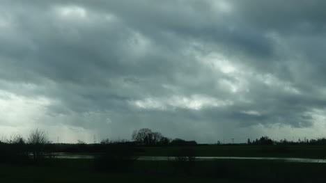 Oregon-Roadside-Trees-In-Cloudy-Weather